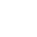 Fast response icon