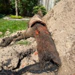 tree-roots-in-sewer-line